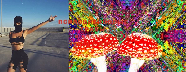 ПСИЛОЦИБИНОВЫЕ ГРИБЫ Балабаново