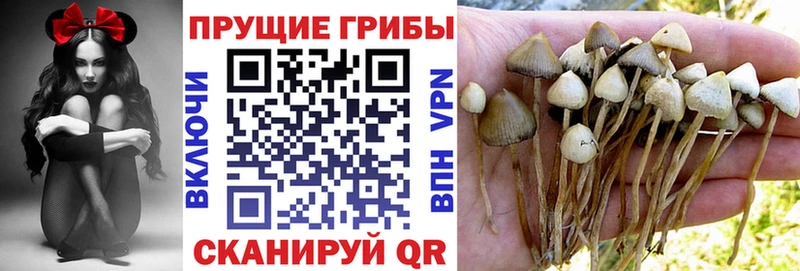 blacksprut рабочий сайт Новоуральск Псилоцибиновые грибы MAGIC MUSHROOMS